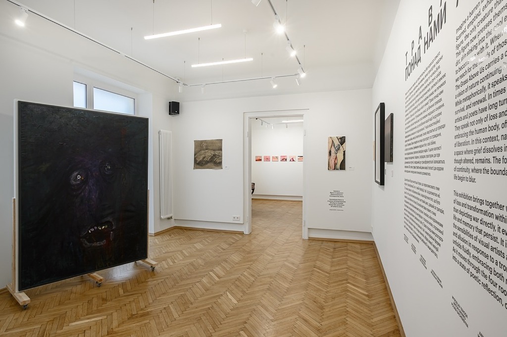 Installation view of 'The Grass Above Us' exhibition at LU Gallery, Lutsk, 2025