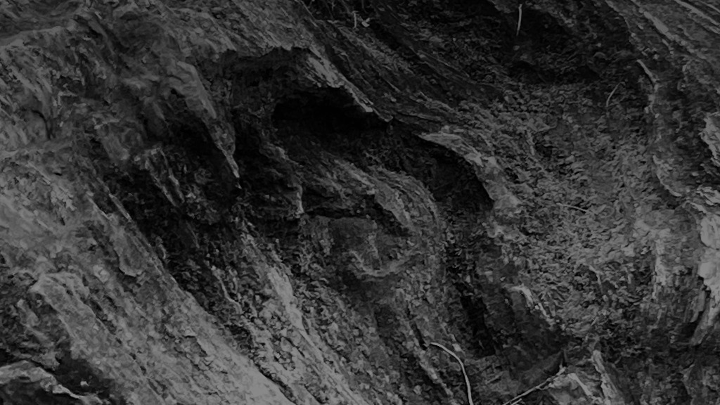 Fear of Turning into Stone