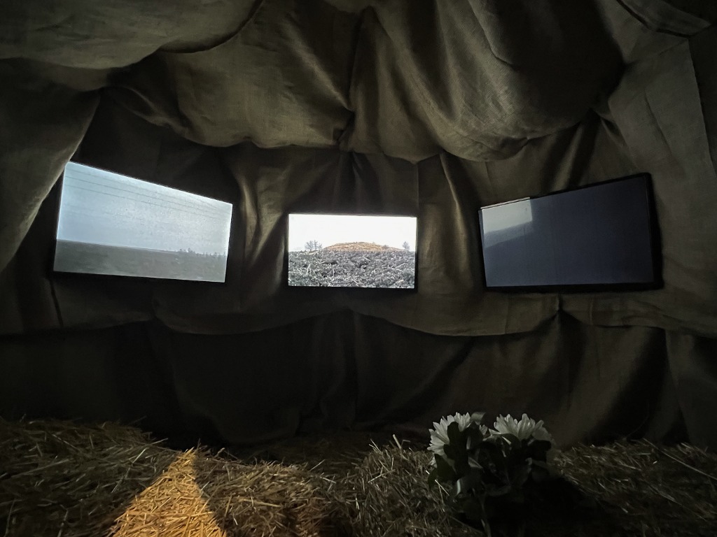 Installation view