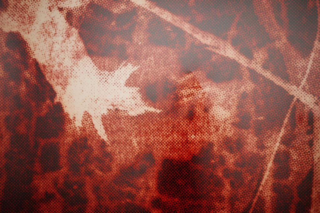 Zoom series, work detail